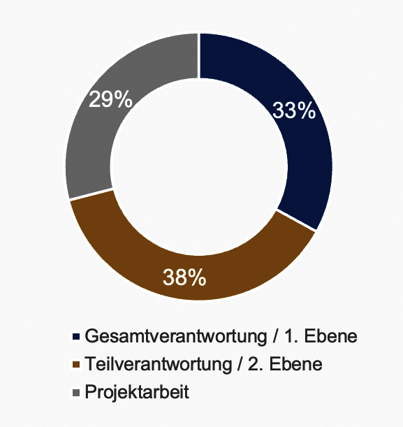 Hierarchie / Ebene im Interim Management