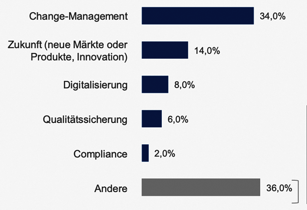 Schwerpunkt Interim Management Einsätze aus Heuse Interim Studie 2022