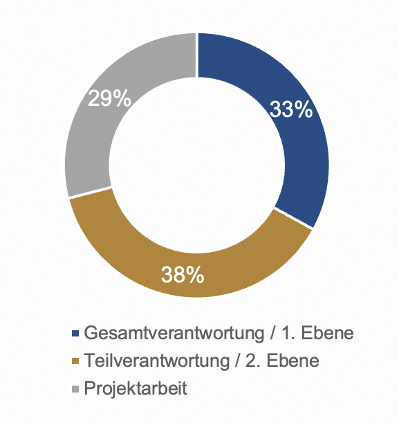 Hierarchie / Ebene im Interim Management