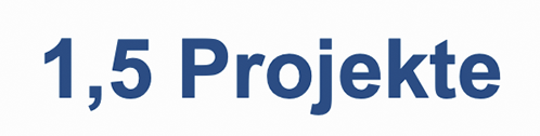 Durchgeführte Projekte im Interim Management