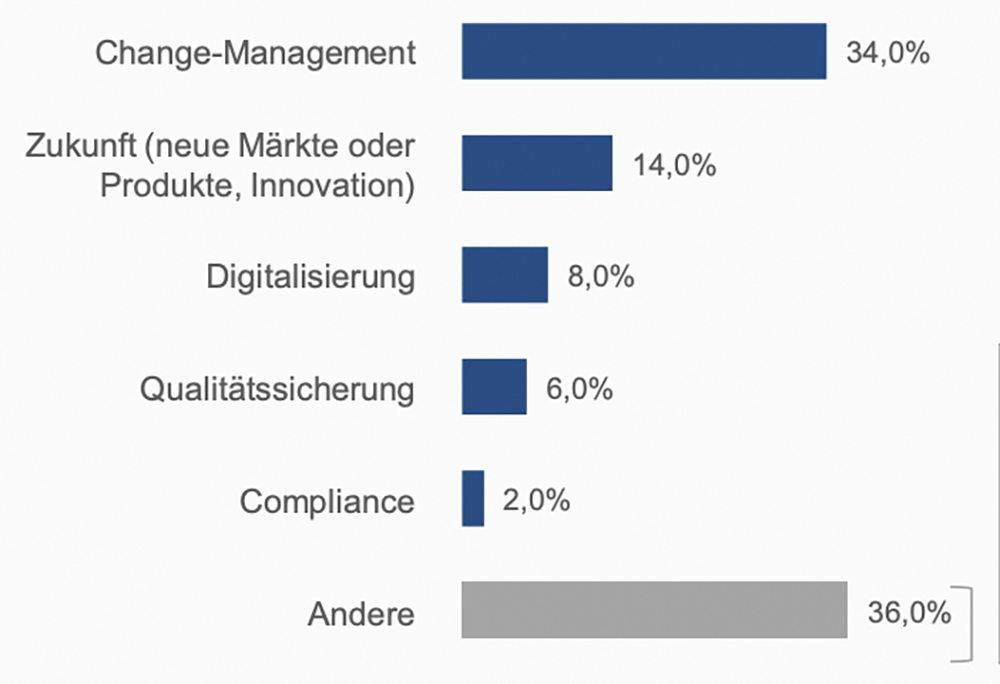 Schwerpunkt Interim Management Einsätze aus Heuse Interim Studie 2022